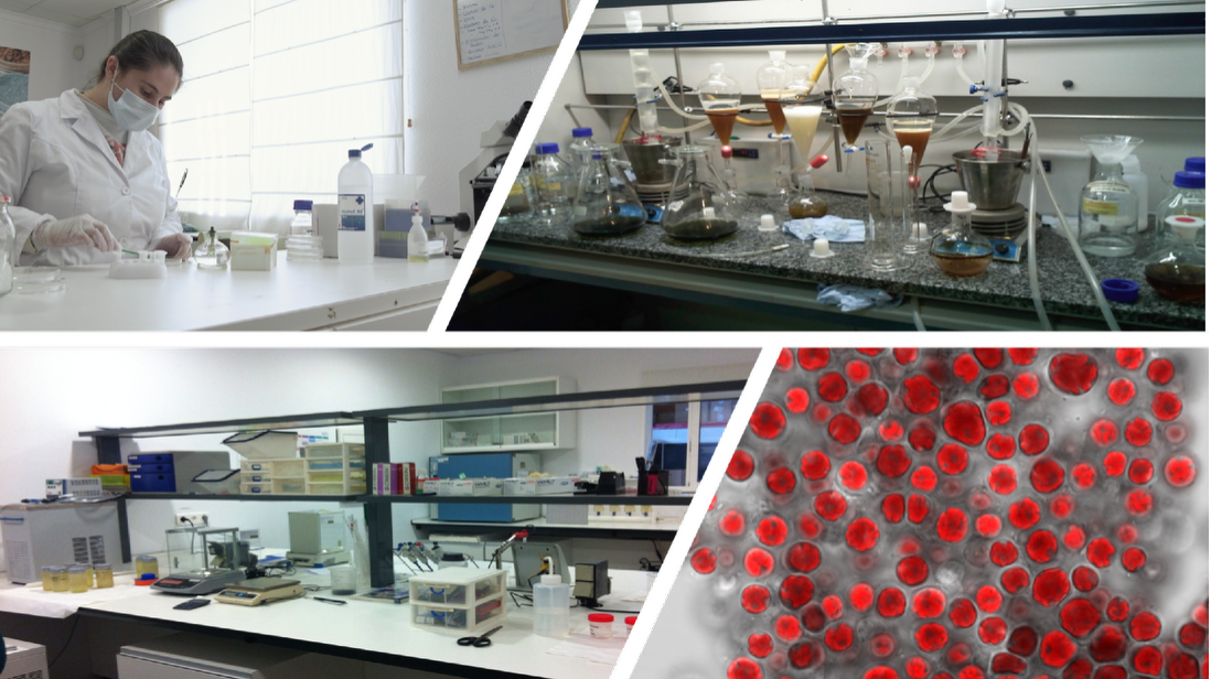 Laboratorio y capacidades analíticas